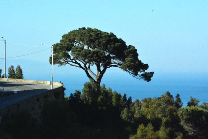 Palazzo Jannoni Holiday Sant'Andrea Apostolo dello Ionio Exterior photo